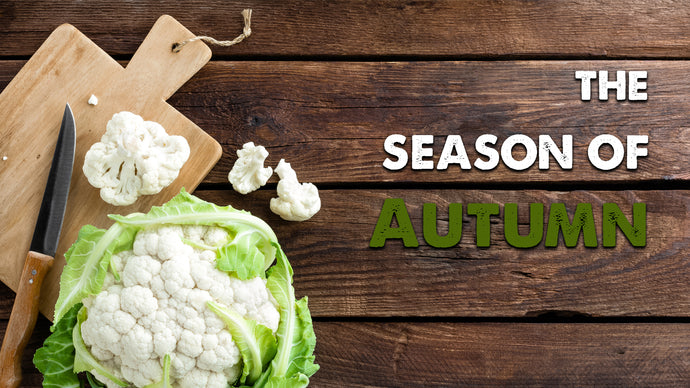 Bundle 2: Introduction + Autumn: Season of Lungs and Large Intestine