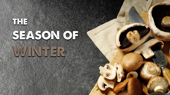 Bundle 3: Introduction + Winter: Season of Kidneys and Bladder